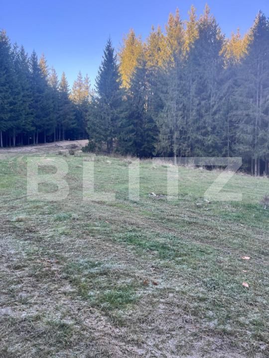 Teren de vânzare Manastirea Humorului - 161408TV | BLITZ Suceava | Poza3