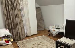 Oportunitate!!!Casa individuala cu anexe,Sf.Ilie Vechi,(nemobilata)