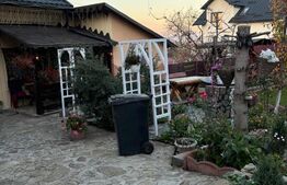 Oportunitate!!!Casa individuala cu anexe,Sf.Ilie Vechi,(nemobilata)