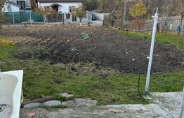 Oportunitate!!!Casa individuala cu anexe,Sf.Ilie Vechi,(nemobilata)