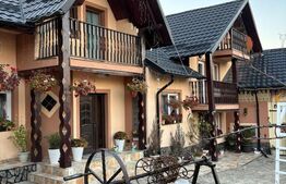 Oportunitate!!!Casa individuala cu anexe,Sf.Ilie Vechi,(nemobilata)