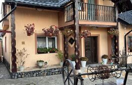 Oportunitate!!!Casa individuala cu anexe,Sf.Ilie Vechi,(nemobilata)