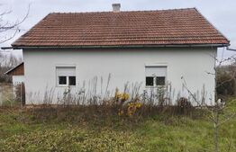 Casa 3 camere, 130mp, zona Vascauti - Siret