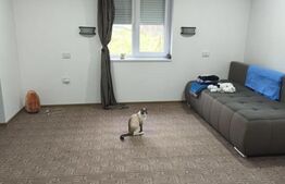 Casa 3 camere, 130mp, zona Vascauti - Siret