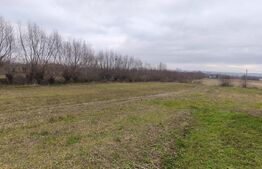 Casa 3 camere, 130mp, zona Vascauti - Siret