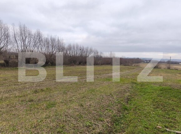 Casa de vânzare 3 camere Siret - 161821CV | BLITZ Suceava | Poza21