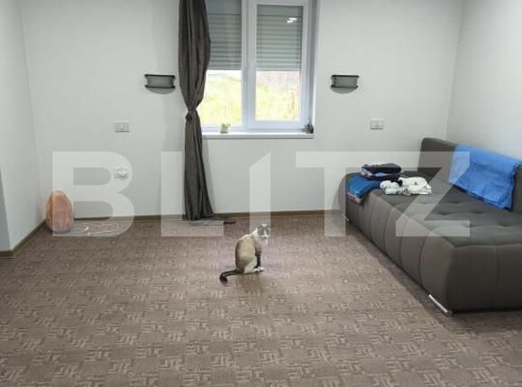 Casa de vânzare 3 camere Siret - 161821CV | BLITZ Suceava | Poza14