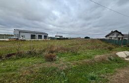 Oportunitate! Teren de 27 ari cu deschidere la E85, Dumbraveni