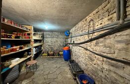 Casa impresionanta , 250 mp , cu gradina generoasa 1000 mp , Scheia 