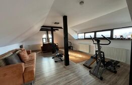 Casa impresionanta , 250 mp , cu gradina generoasa 1000 mp , Scheia 