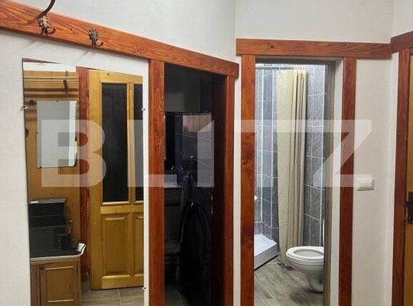 Spațiu comercial de închiriat Central - 162059SIC | BLITZ Suceava | Poza3