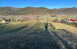 Teren intravilan, Bucșoaia - Frasin, 13000 mp