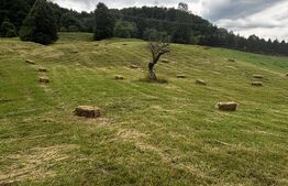 Teren intravilan, Bucșoaia - Frasin, 13000 mp