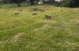 Teren intravilan, Bucșoaia - Frasin, 13000 mp