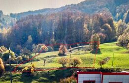 Teren intravilan, Bucșoaia - Frasin, 13000 mp