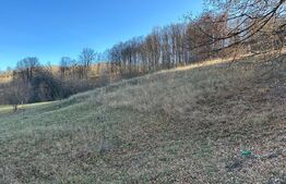 Teren intravilan, Bucșoaia - Frasin, 10000 mp