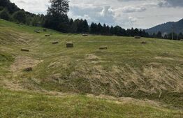 Teren intravilan, Bucșoaia - Frasin, 13000 mp