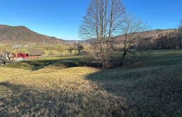 Teren intravilan, Bucșoaia - Frasin, 13000 mp