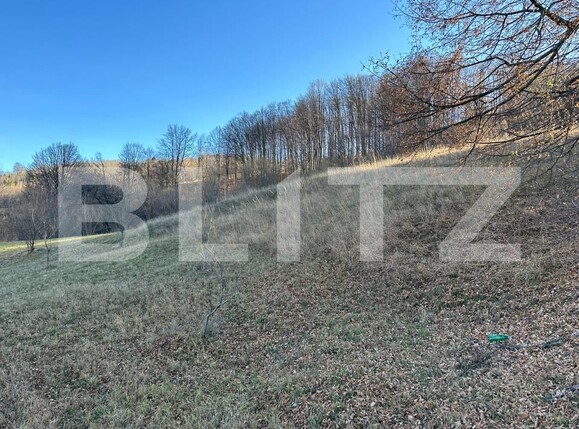 Teren de vânzare Exterior Vest - 162101TV | BLITZ Suceava | Poza9