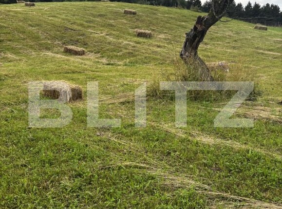 Teren de vânzare Exterior Vest - 162101TV | BLITZ Suceava | Poza4