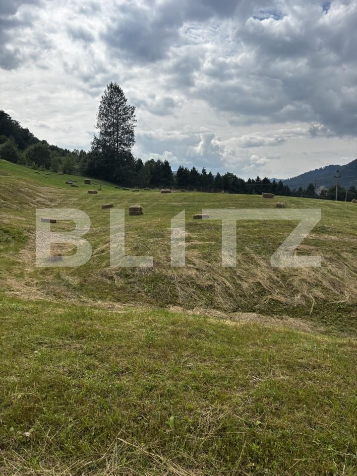 Teren de vânzare Exterior Vest - 162101TV | BLITZ Suceava | Poza6