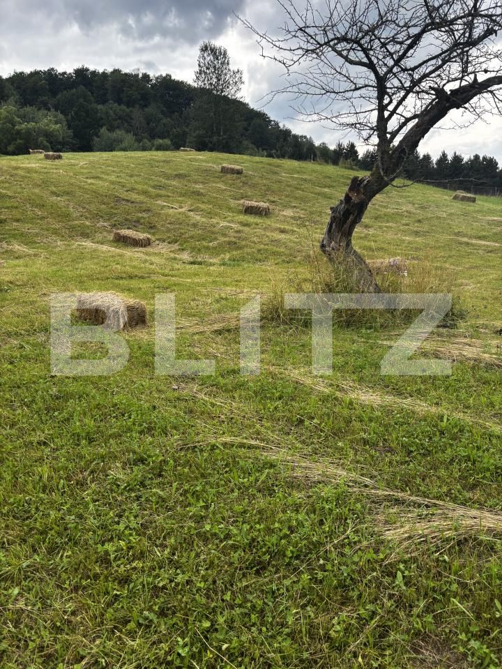 Teren de vânzare Exterior Vest - 162101TV | BLITZ Suceava | Poza4