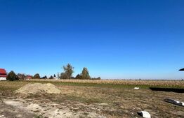 Teren intravilan, 1000 mp, Fratautii Vechi