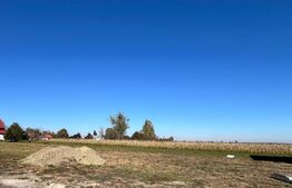 Teren de vânzare Neagra Sarului - 162695TV | BLITZ Suceava | Poza3