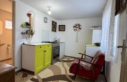 Casa individuala, 46 mp, 1000 mp teren, Liteni 