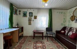 Casa individuala, 46 mp, 1000 mp teren, Liteni 