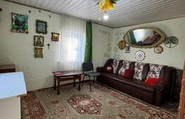 Casa individuala, 46 mp, 1000 mp teren, Liteni 