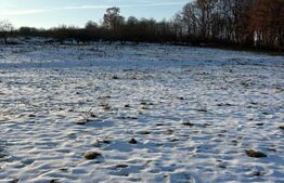 Teren partial intravilan 1914 mp, extravilan 7186 mp, in loc.Udesti