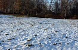 Teren partial intravilan 1914 mp, extravilan 7186 mp, in loc.Udesti