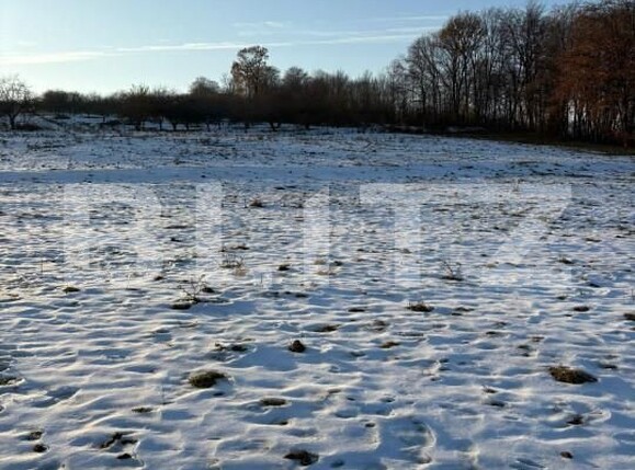 Teren de vânzare Sud Est - 162427TV | BLITZ Suceava | Poza2