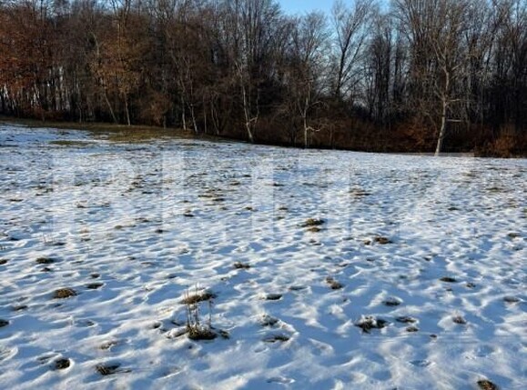 Teren de vânzare Sud Est - 162427TV | BLITZ Suceava | Poza3