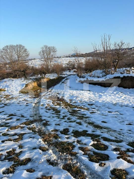 Teren de vânzare Sud Est - 162427TV | BLITZ Suceava | Poza4