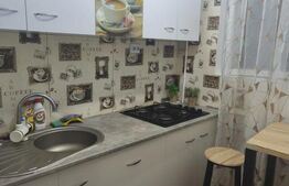 Garsonieră de închiriat, etaj 4, Radauti