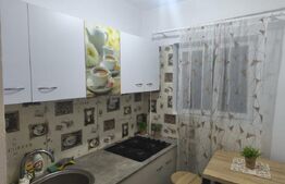 Garsonieră de închiriat, etaj 4, Radauti