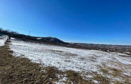 Teren extravilan, 9.600 mp, intrare Rădășeni