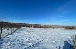 Teren extravilan, 9.600 mp, intrare Rădășeni