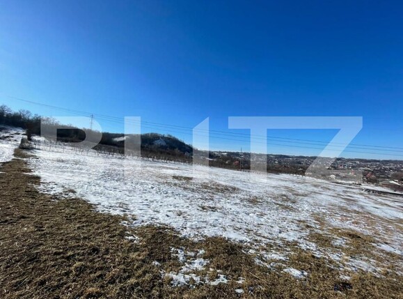 Teren de vânzare Radaseni - 162511TV | BLITZ Suceava | Poza2