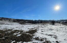 Teren extravilan, 5.400 mp, intrare Rădașeni