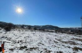 Teren extravilan, 5.400 mp, intrare Rădașeni