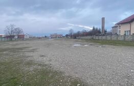 Teren intravilan, multifuncțional, 8000mp