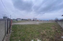 Teren intravilan, multifuncțional, 8000mp