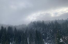 Casă de vânzare, 4 camere, 308 mp, în Vatra Dornei