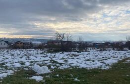 Teren Intravilan, 4500 mp, zona Burdujeni