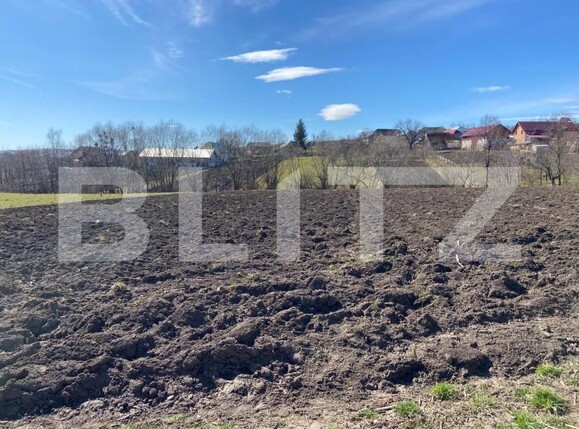 Teren de vânzare Brasca - 162649TV | BLITZ Suceava | Poza3