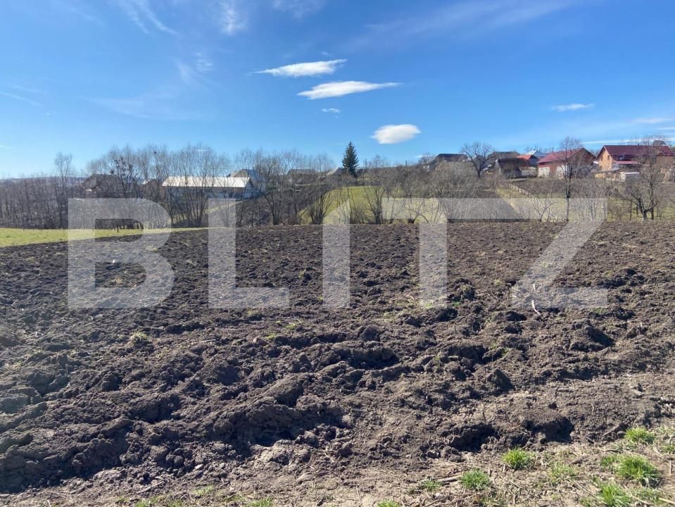 Teren de vânzare Brasca - 162649TV | BLITZ Suceava | Poza3