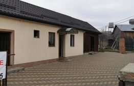 Proprietate 153mp, teren 1800mp, Mitocasi